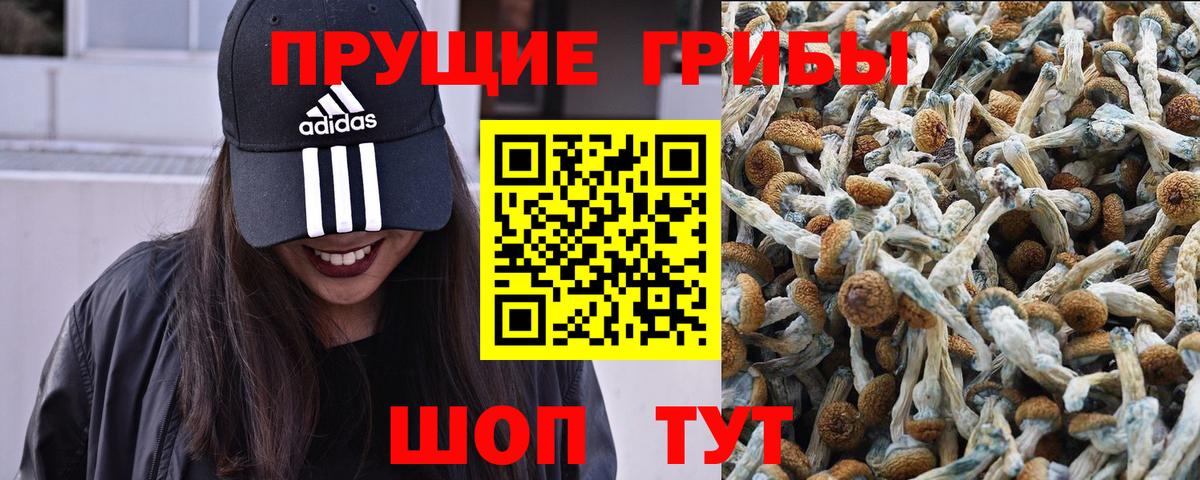Псилоцибиновые грибы Cubensis  Вход с VPN  дарнет шоп  Усть-Илимск 